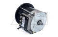 Traction motor - 254474