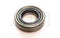 Mast bearing