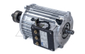 Traction motor - 31330