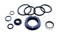 Gasket set Pramac Lifter GS (von 04/03)