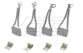 Carbon brush set