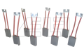 Carbon brush set