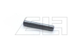 ROLLENSTIFT, STL D1481 3 X19 N - 502393