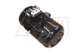 Traction motor - 831109