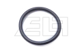 O-RING - ELF101711